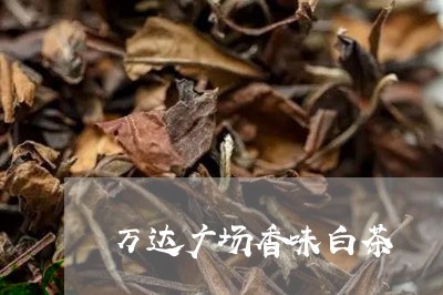 万达广场香味白茶/2023061561714