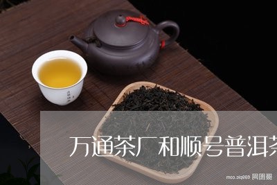 万通茶厂和顺号普洱茶/2023061698502