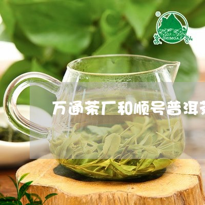 万通茶厂和顺号普洱茶/2023092749694