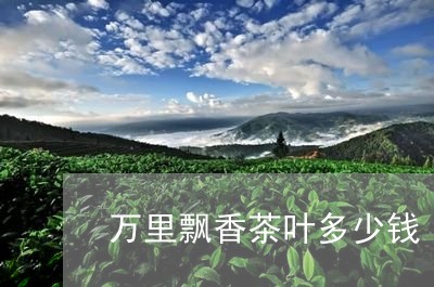 万里飘香茶叶多少钱/2023042641504