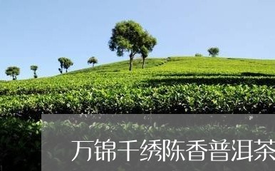 万锦千绣陈香普洱茶熟茶/2023082863614