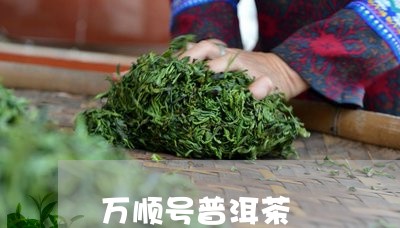 万顺号普洱茶/2023090616149