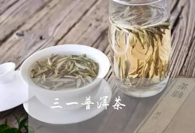 三一普洱茶/2023102585260