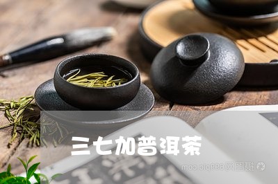 三七加普洱茶/2023042603748