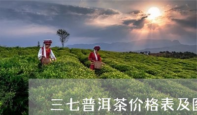 三七普洱茶价格表及图片/2023120745159