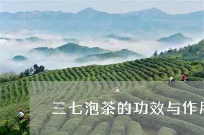 三七泡茶的功效与作用/2023060970703