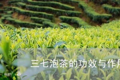 三七泡茶的功效与作用/2023071529382