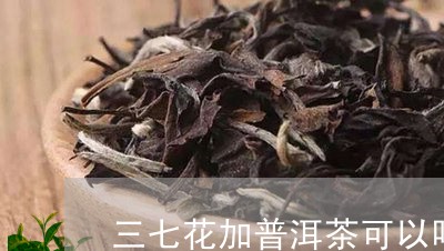 三七花加普洱茶可以吗/2023061646259