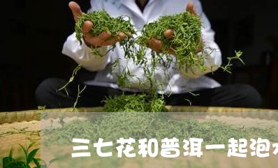 三七花和普洱一起泡水普洱茶膏制法/2023060375058