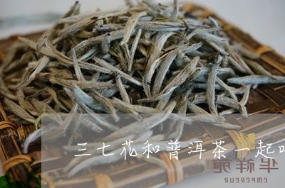 三七花和普洱茶一起喝/2023072147159