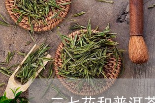 三七花和普洱茶的区别/2023061729583