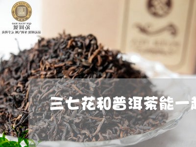 三七花和普洱茶能一起泡水/2023051007360