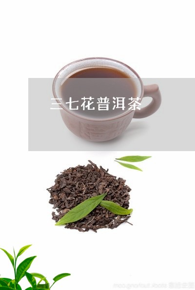 三七花普洱茶/2023042990933