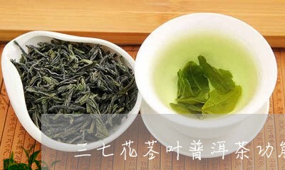 三七花茎叶普洱茶功能/2023062371516