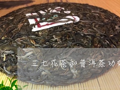 三七花茶和普洱茶功效/2023080134159