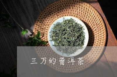 三万的普洱茶/2023042698956