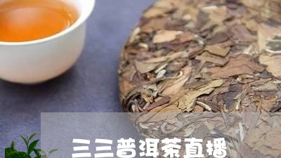 三三普洱茶直播/2023082892825