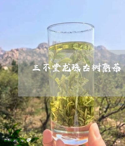 三不堂龙珠古树熟茶/2023042682737