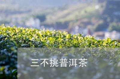 三不挑普洱茶/2023042837422