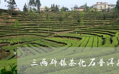 三两碎银茶化石普洱茶/2023080313805