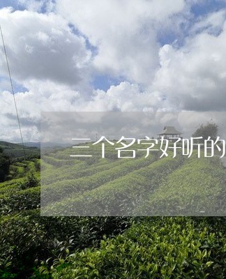 三个名字好听的普洱茶/2023062009602