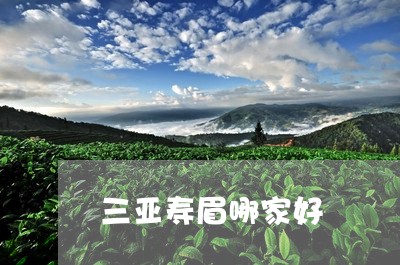 三亚寿眉哪家好/2023112486169