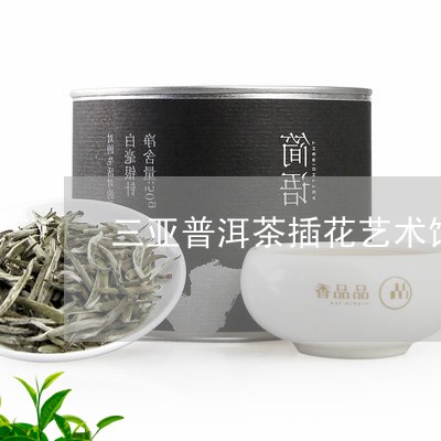 三亚普洱茶插花艺术馆价格/2023082863959