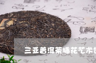 三亚普洱茶插花艺术馆怎么样/2023052893017