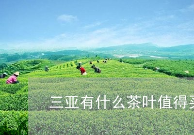 三亚有什么茶叶值得买/2023092250581