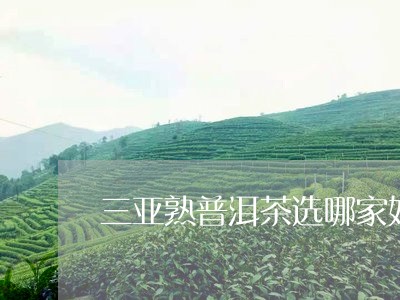 三亚熟普洱茶选哪家好/2023061516461