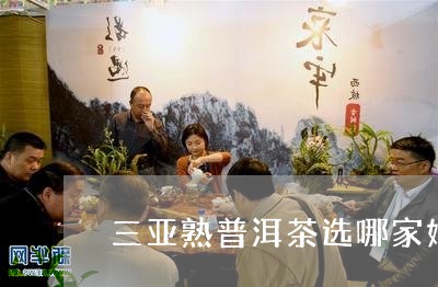 三亚熟普洱茶选哪家好/2023092741704