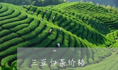 三亚白茶价格/2023051258272