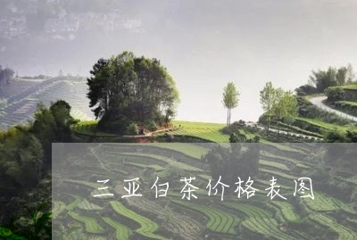 三亚白茶价格表图/2023061524959