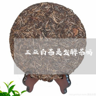 三亚白茶是发酵茶吗/2023121683837