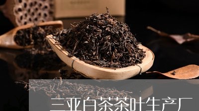 三亚白茶茶叶生产厂/2023121641505