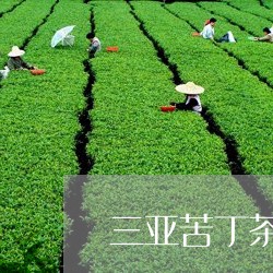 三亚苦丁茶价格/2023050159594