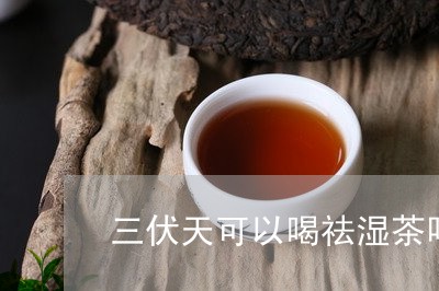 三伏天可以喝祛湿茶吗/2023060829304