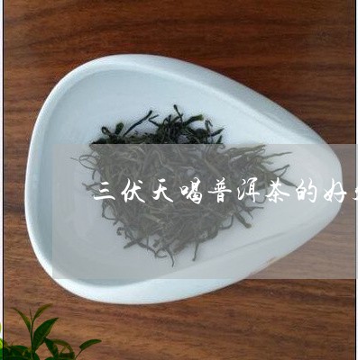 三伏天喝普洱茶的好处/2023061472749