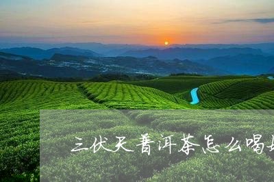 三伏天普洱茶怎么喝好呢/2023050581586