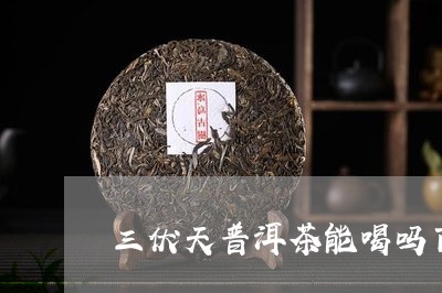 三伏天普洱茶能喝吗百度/2023082799592