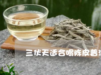 三伏天适合喝陈皮普洱茶吗/2023051367270