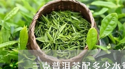 三克普洱茶配多少水煮茶/2023110126157