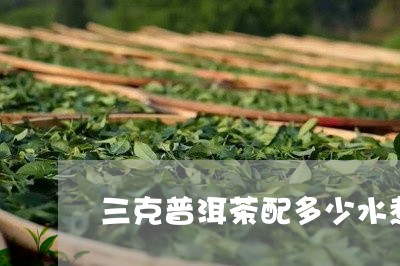 三克普洱茶配多少水煮茶叶/2023112501504