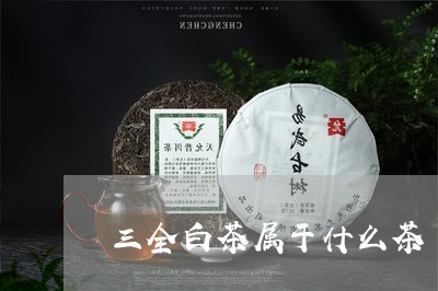 三全白茶属于什么茶/2023121684838