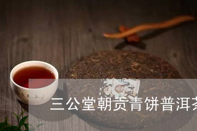 三公堂朝贡青饼普洱茶/2023092771714