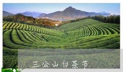 三公山白茶节/2023051248402