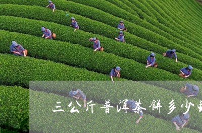 三公斤普洱茶饼多少钱啊/2023112838583