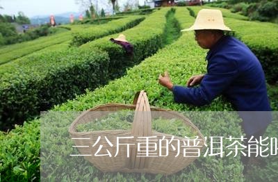 三公斤重的普洱茶能喝吗/2023082741737