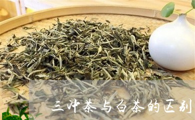 三冲茶与白茶的区别/2023071458361