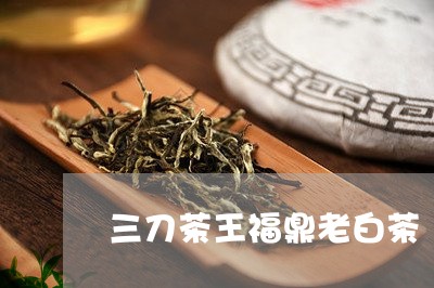 三刀茶王福鼎老白茶/2023120362726